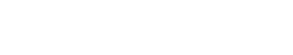 Logo X55 II