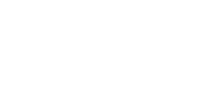 Logo X55 PLUS